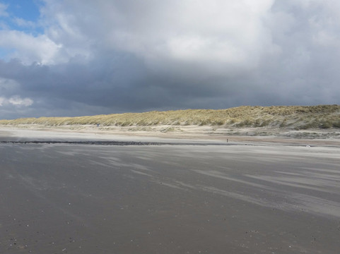 Landal Vlieduyn主图