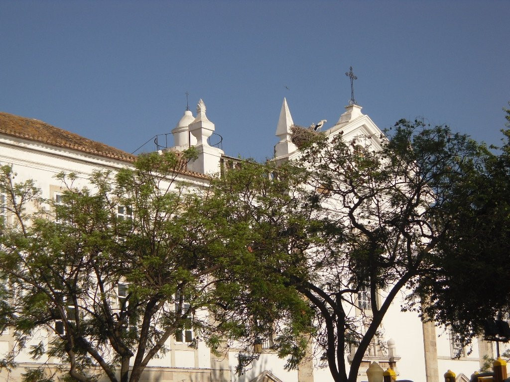 Faro Airport Transfers Algarve-法罗必去景点