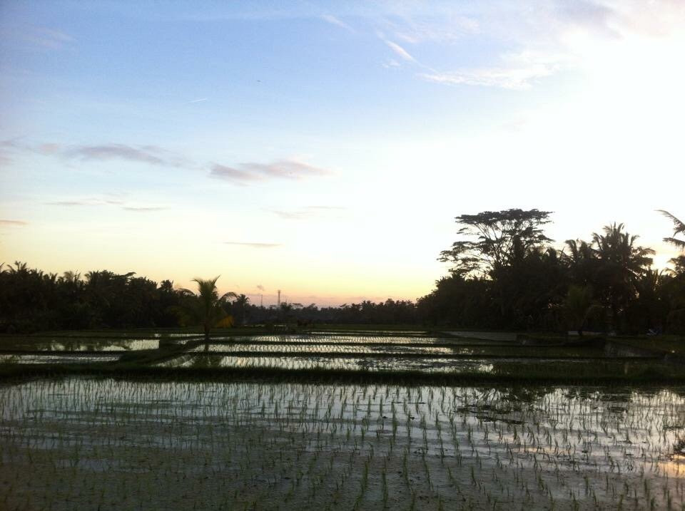 Umah Nik Homestay主图