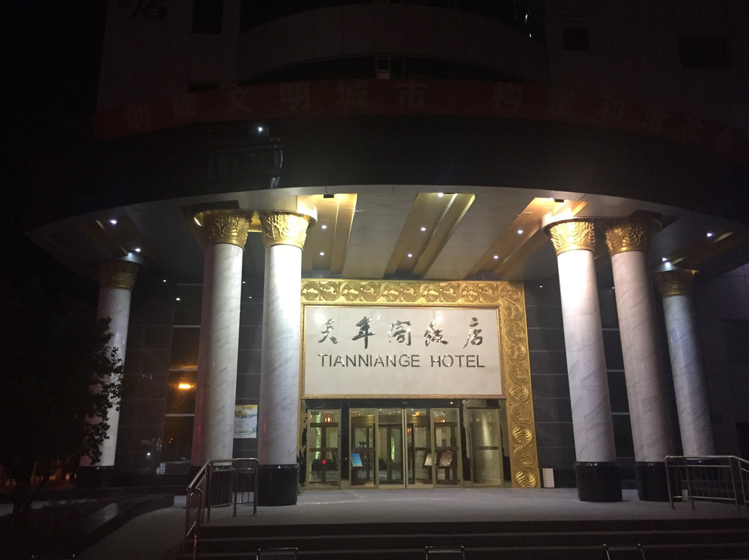 天年阁饭店主图