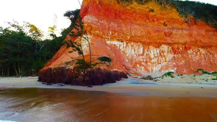 Praia das Falesias景点图片