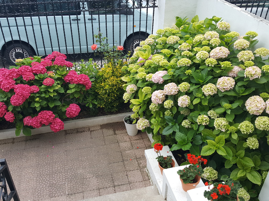 Guriezo酒店住宿-Villa Floren