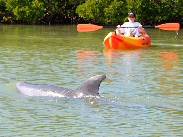 Naples Beach Adventures景点图片