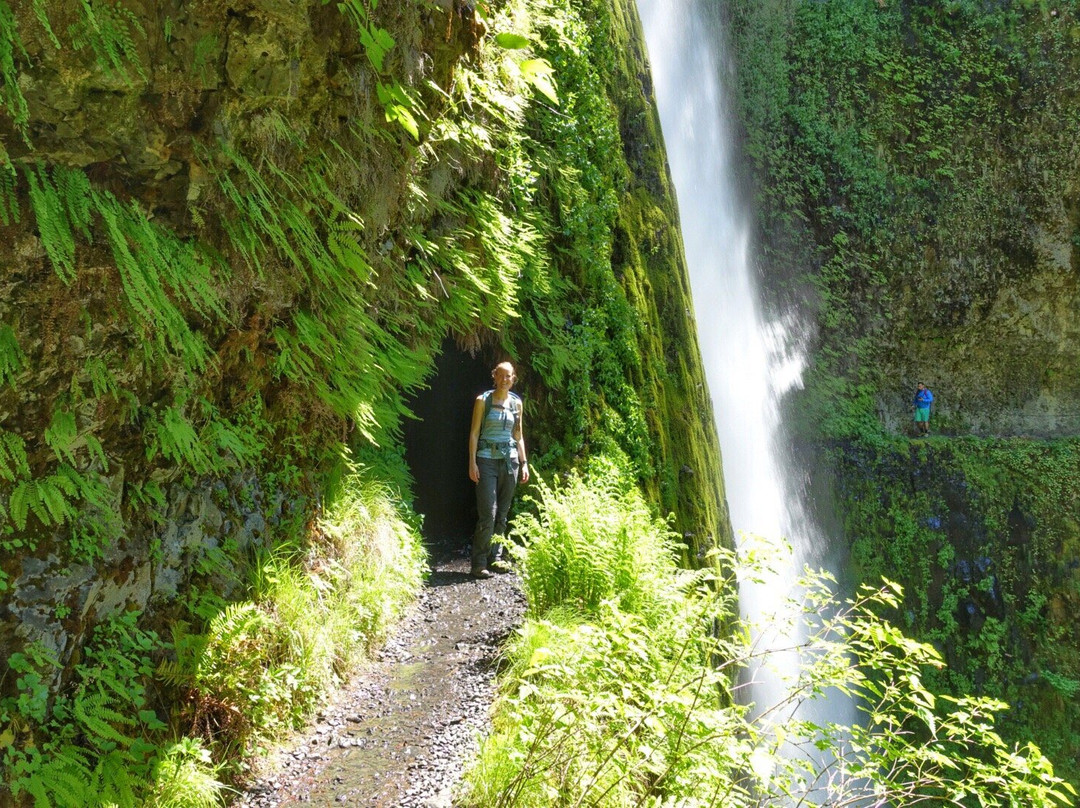 Eagle Creek Trail-Cascade Locks必去景点