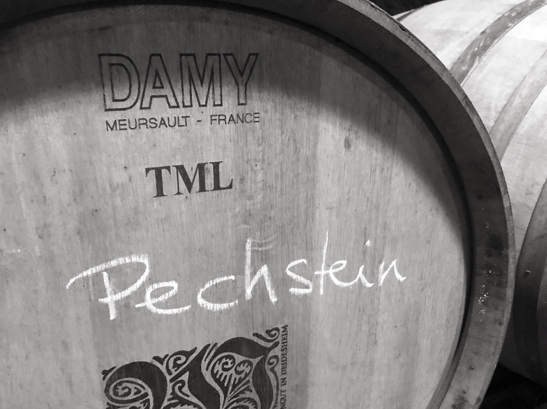 von Winning Weingut-Deidesheim必去景点