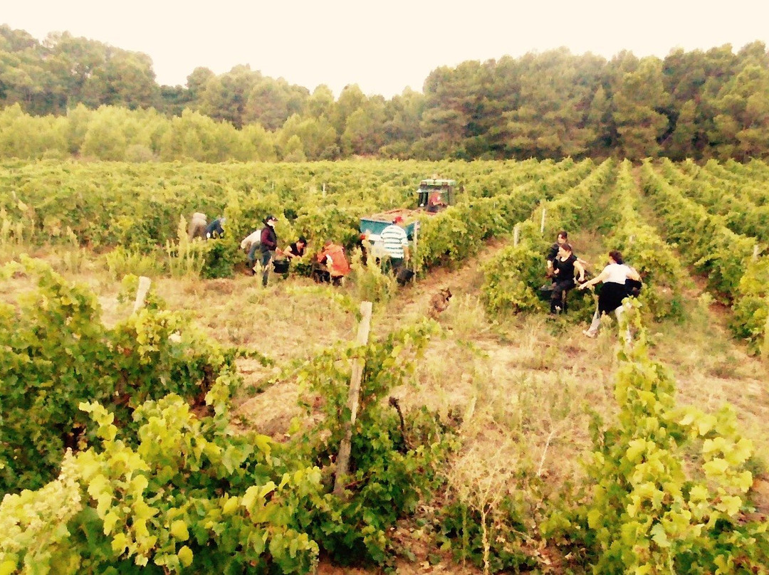 Domaine du Somail-Saint-Nazaire-d'Aude必去景点