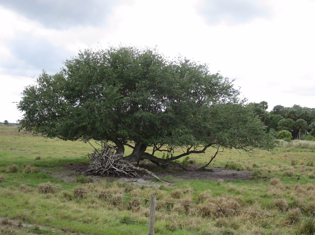 Deseret Ranch-圣克劳德必去景点