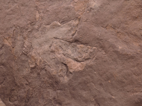 Poison Spider Trail-莫阿布必去景点