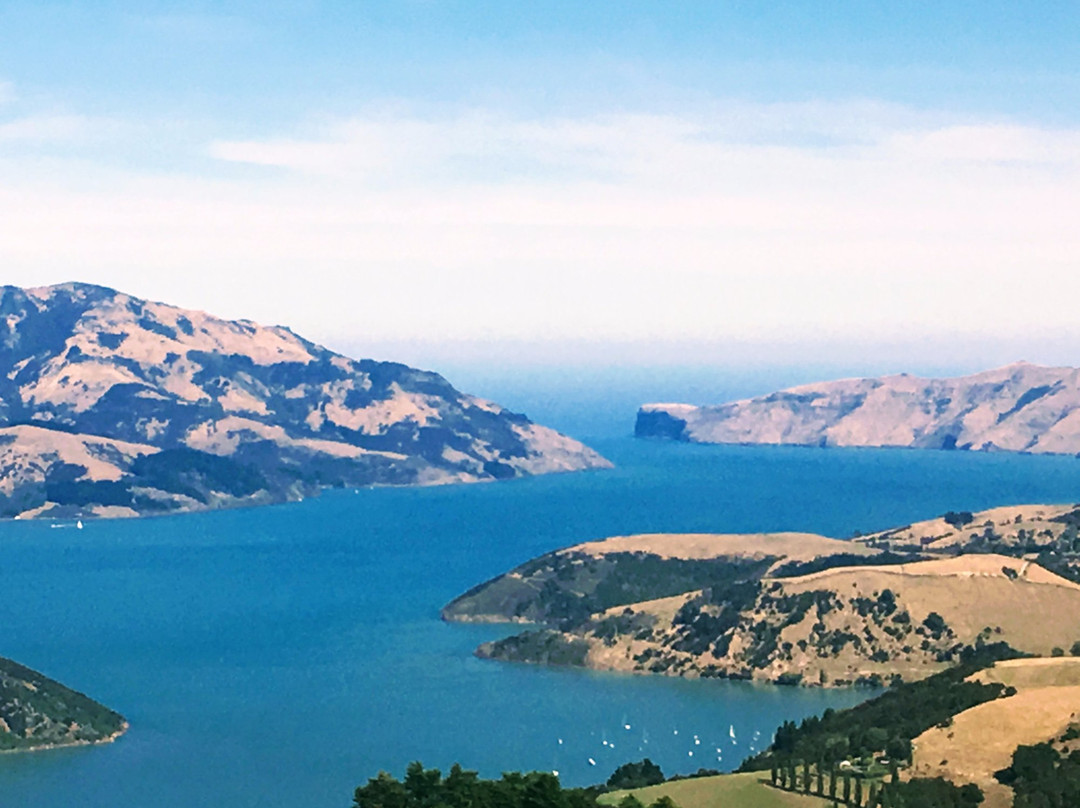 Akaroa Surf Safaris景点图片