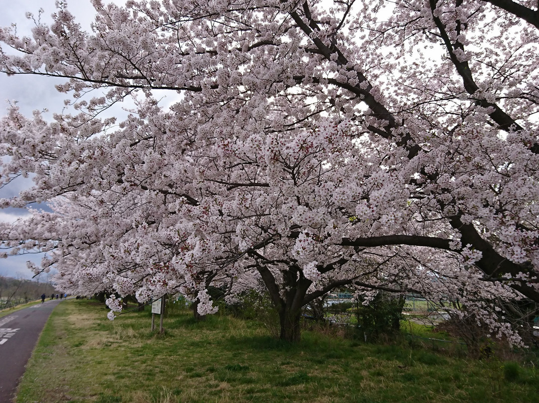 Kyodonomori BBQ Park-府中市必去景点