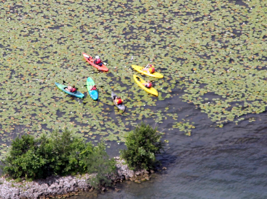 Blue Water Marina-格兰特岛必去景点