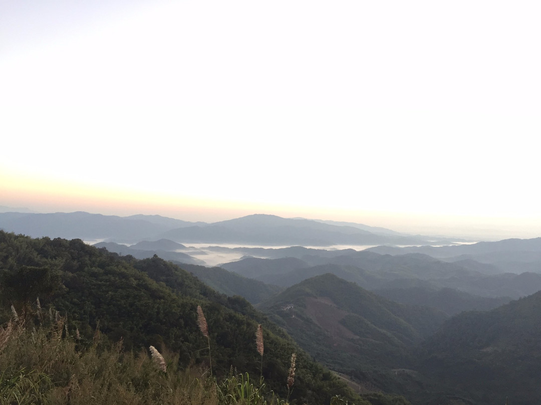 夜岁旅游景点-Doi Kat Phi Forest Park