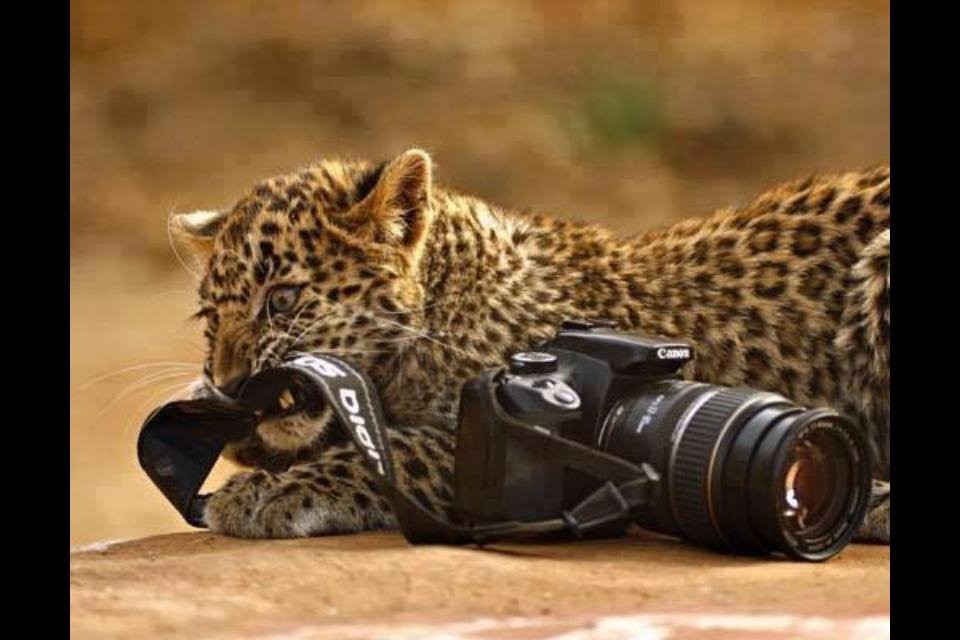 Hotel Whitehouse主图