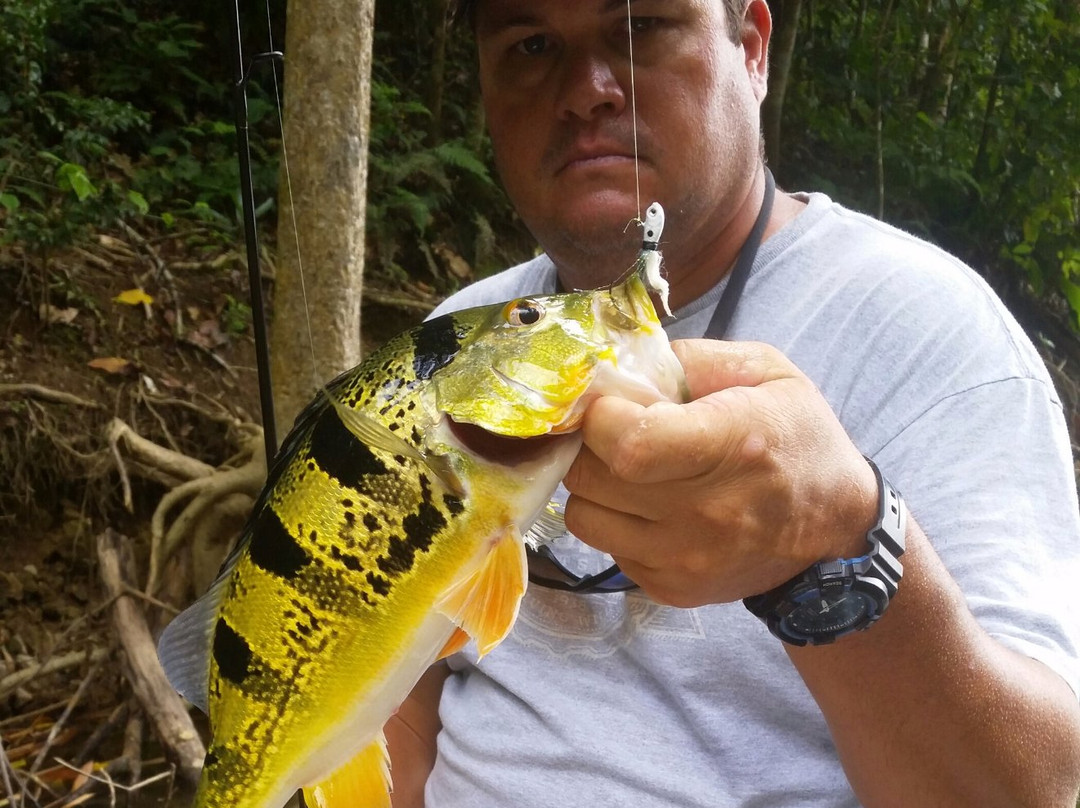 Puerto Rico Sportfishing Charters-多拉多必去景点