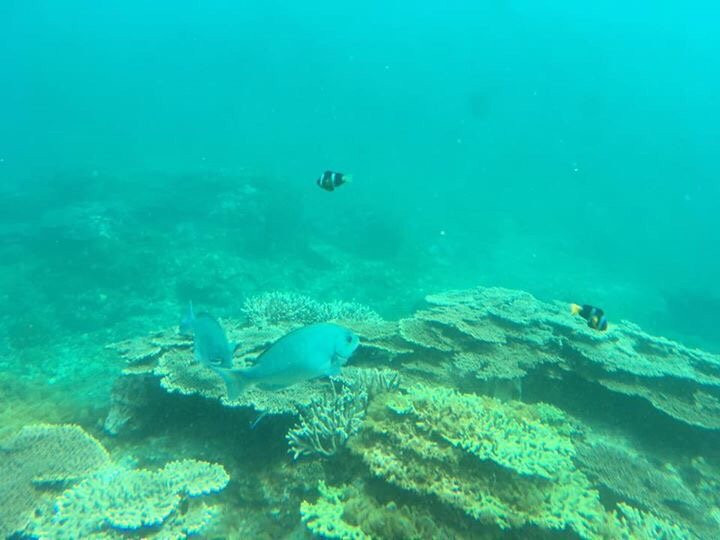 Kushimoto Marine Park Undersea Tower-串本町必去景点