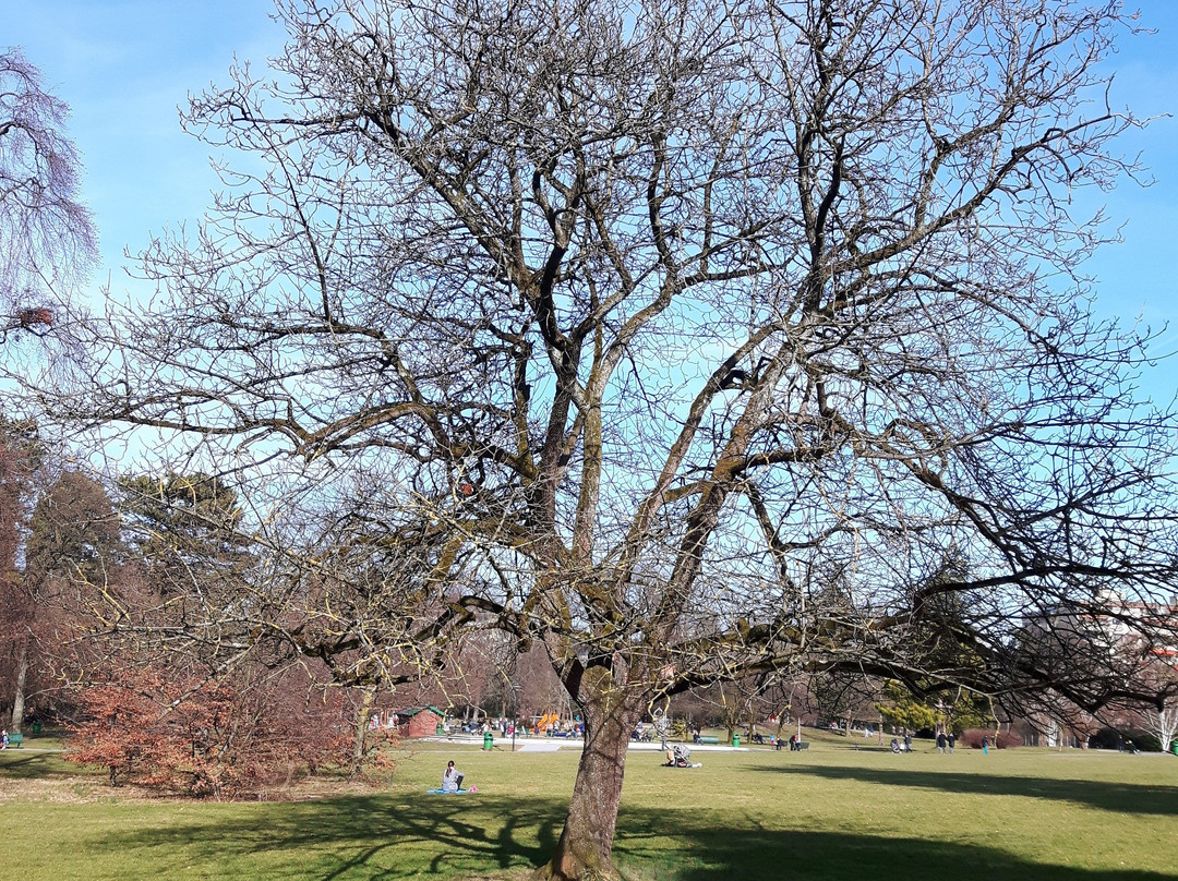 Parc Bertrand-日内瓦必去景点
