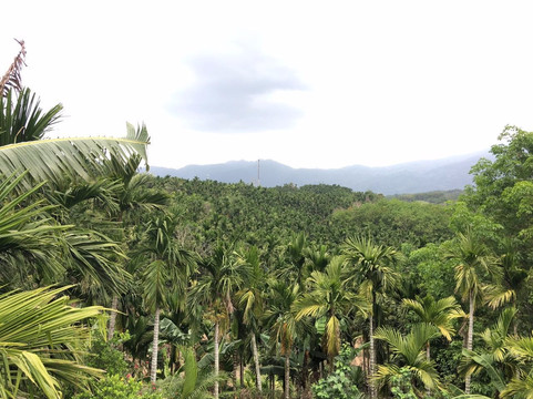 海南七仙岭龙湾珺唐酒店主图