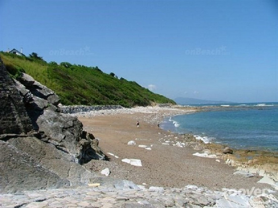 Plage des Alcyons景点图片