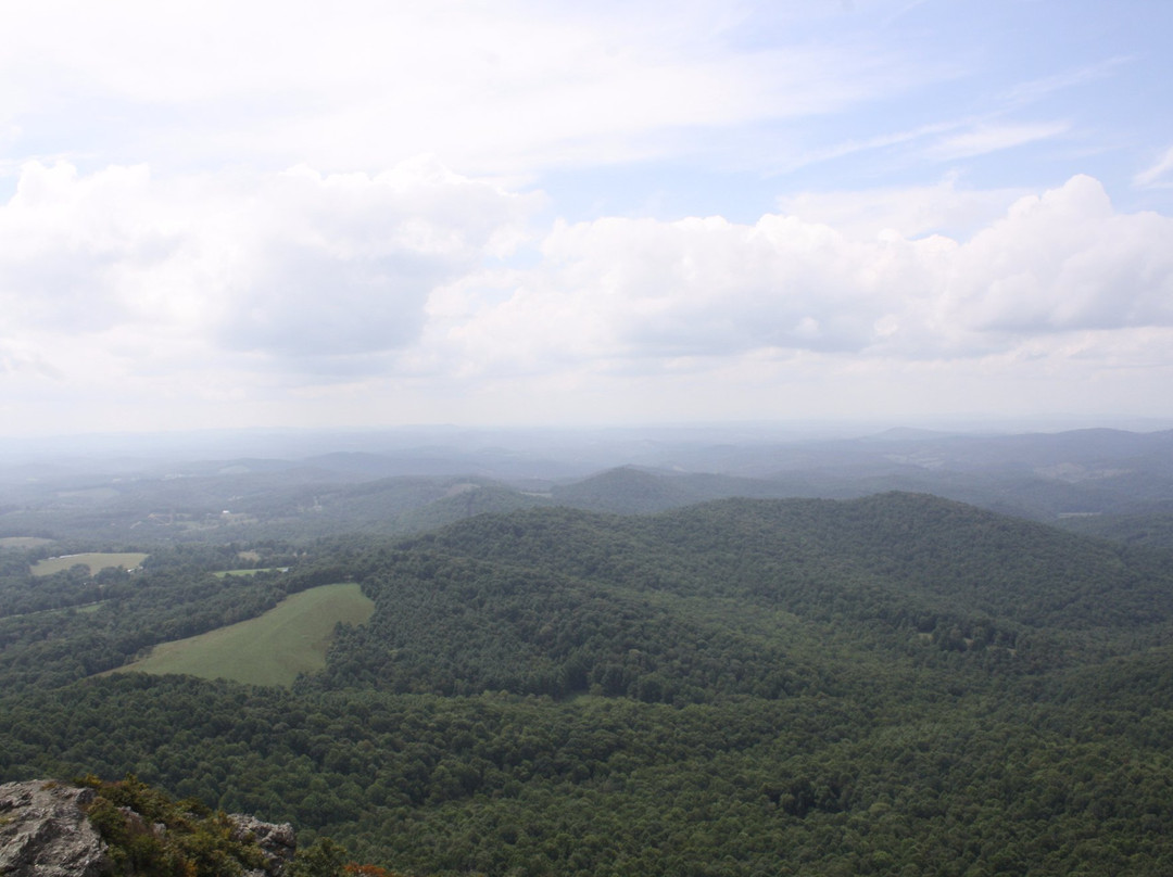 Buffalo Mountain Natural Area Preserve景点图片