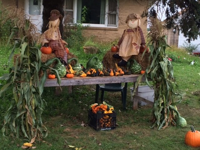 Matt's Produce-拉辛必去景点