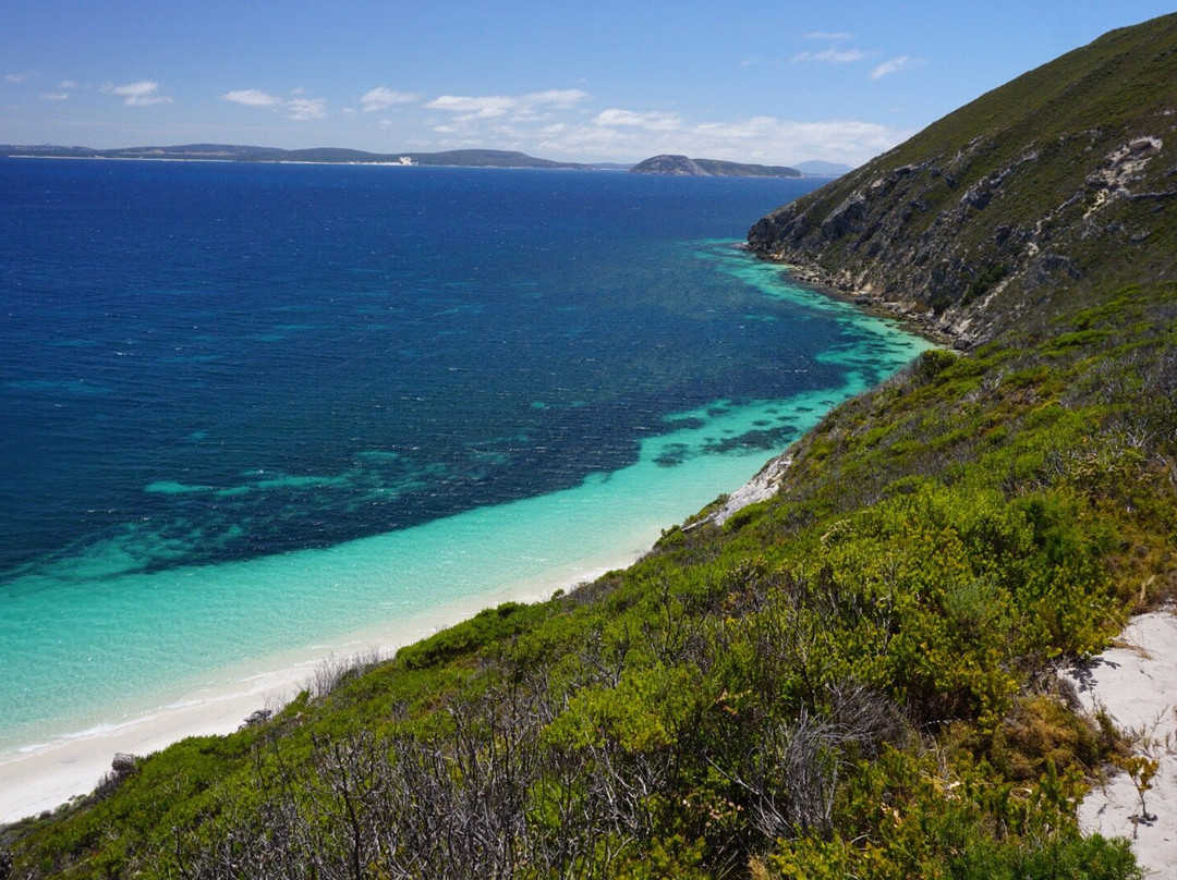 Bald Head Walk Trail