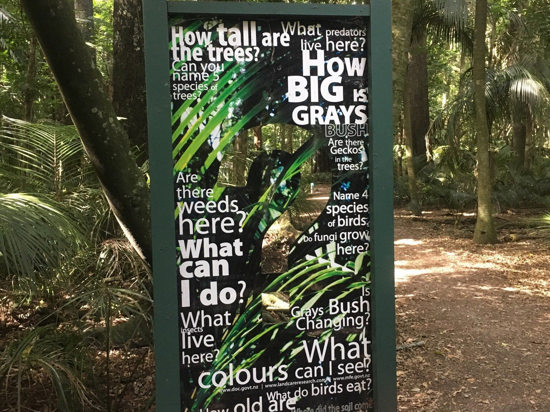 Gray's Bush Scenic Reserve Walks景点图片