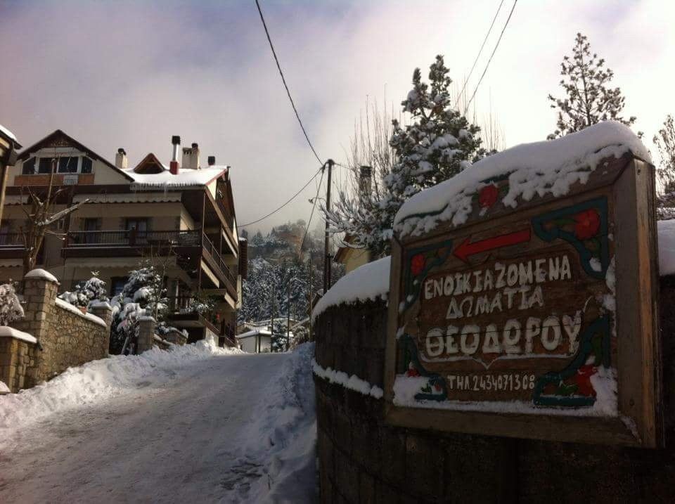 Guesthouse Theodorou主图