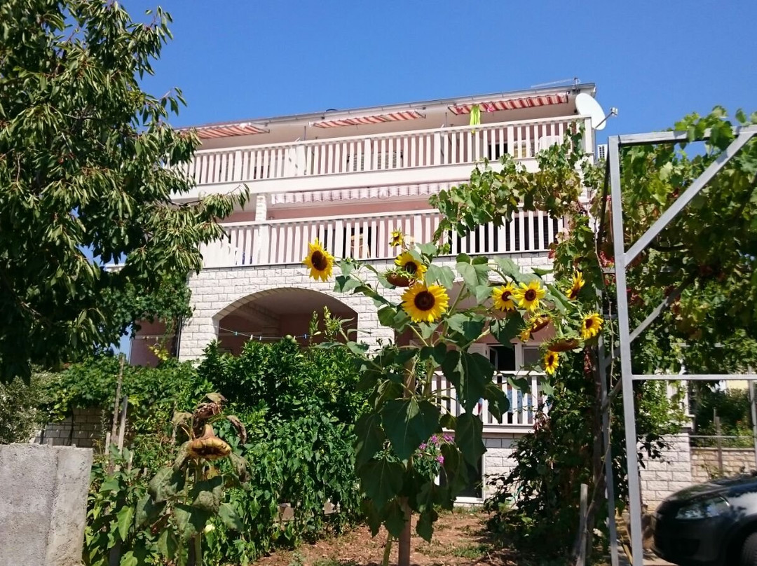 Apartmani Ivana