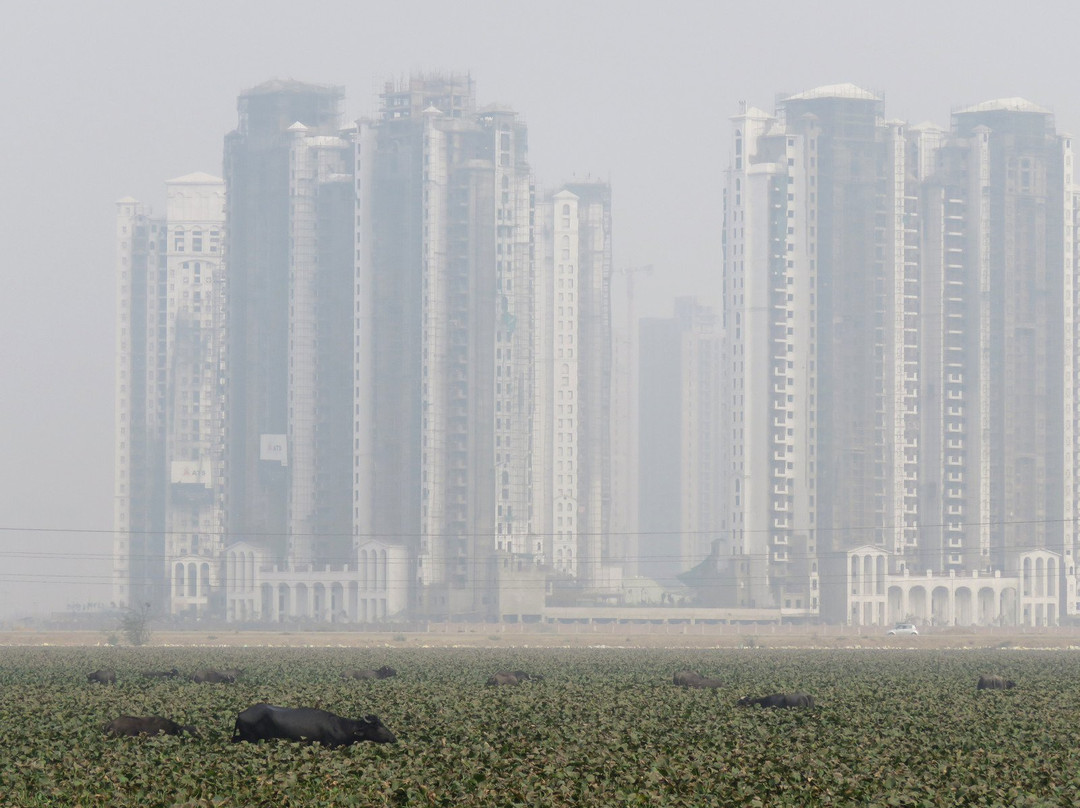 Basai Wetlands景点图片
