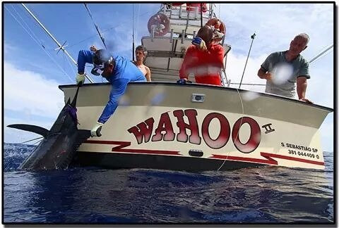 Bahia Sportfishing Ltda-Canavieiras必去景点