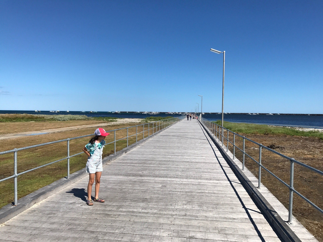 The Port MacDonnell and District Maritime Museum景点图片