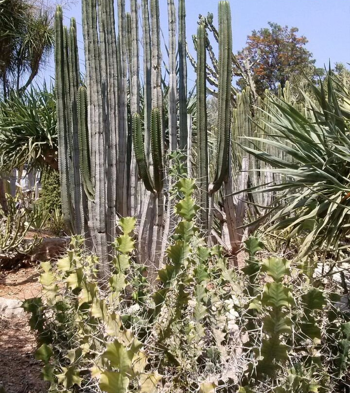 Gan HaKaktusim-霍隆必去景点