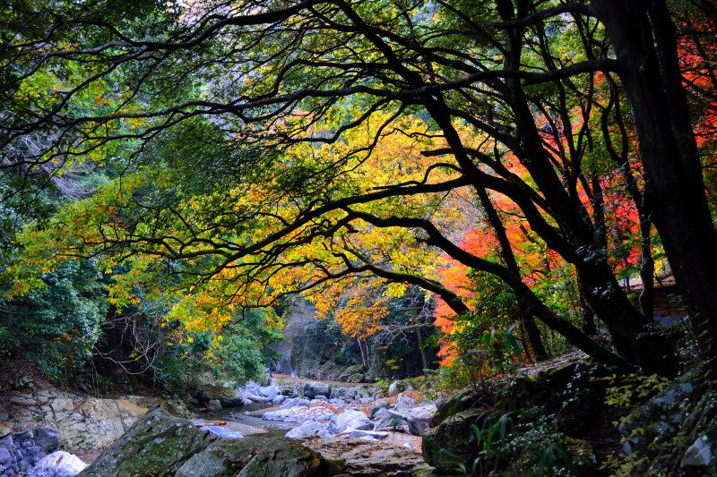 Settsukyo Park-高规市必去景点
