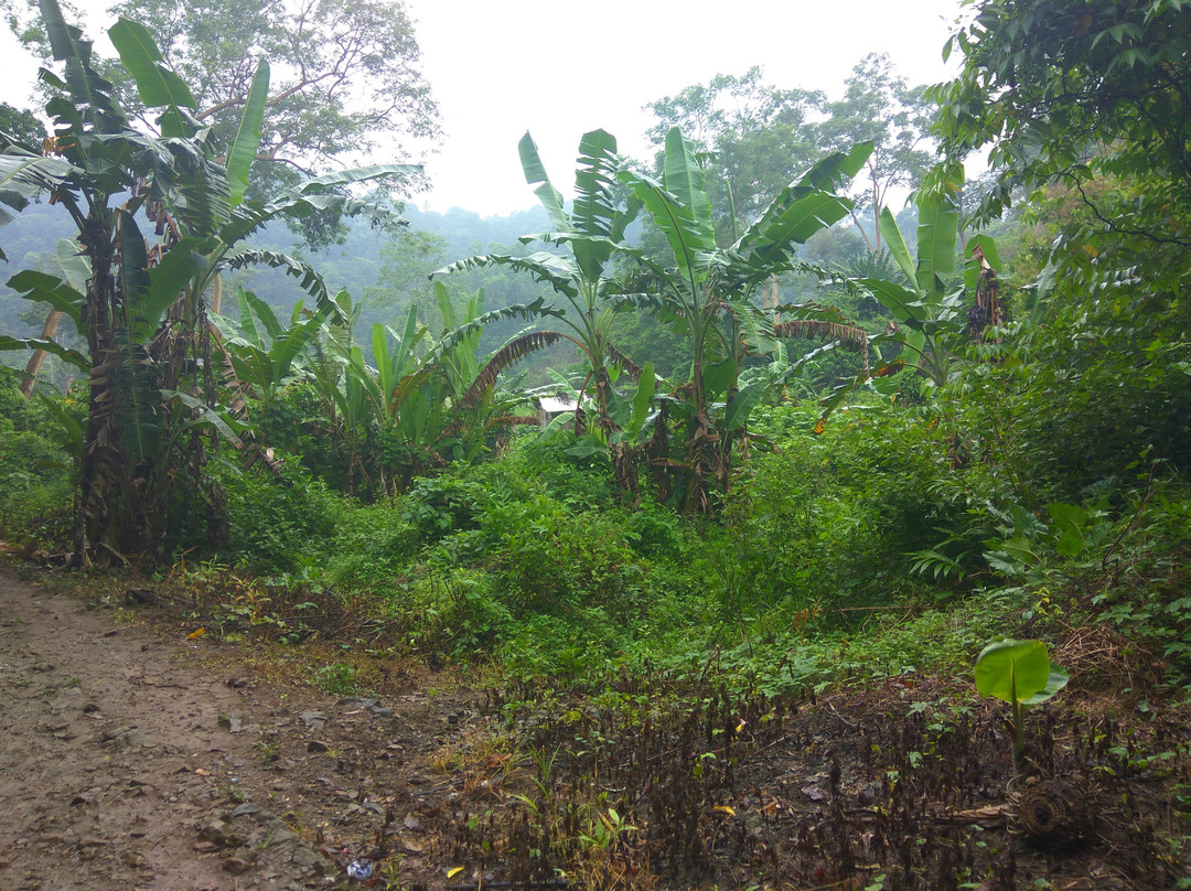 Nusa Kambangan Island-Cilacap必去景点