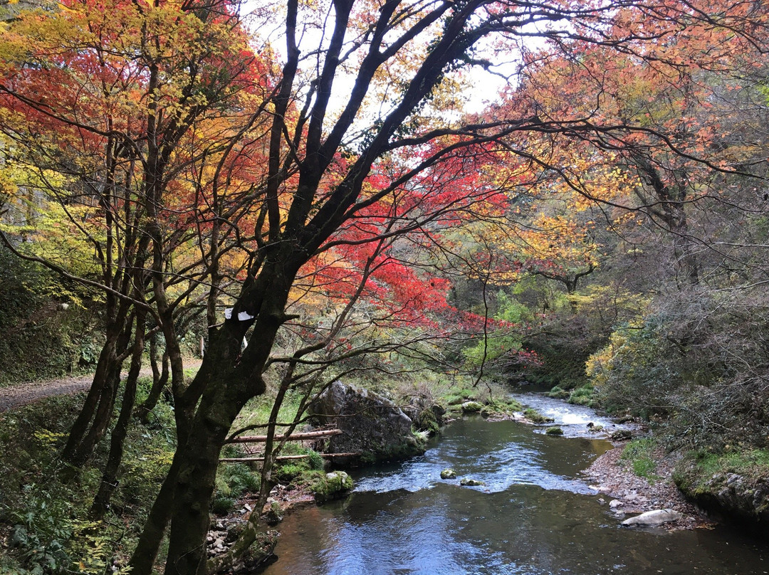 庄原市旅游攻略图片