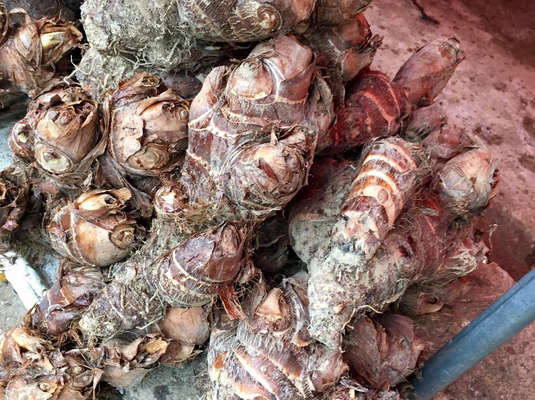 玉皇阁（阳原）-原阳县必去景点