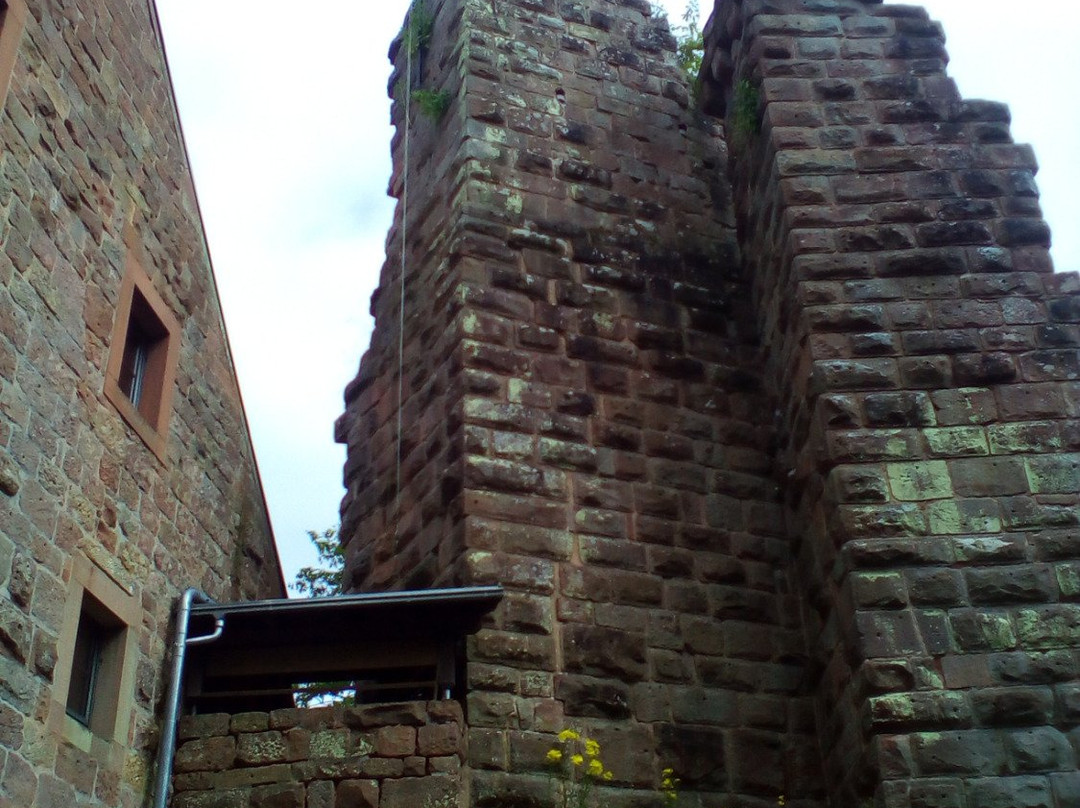 Burg Wilenstein-Flörsheim景点图片