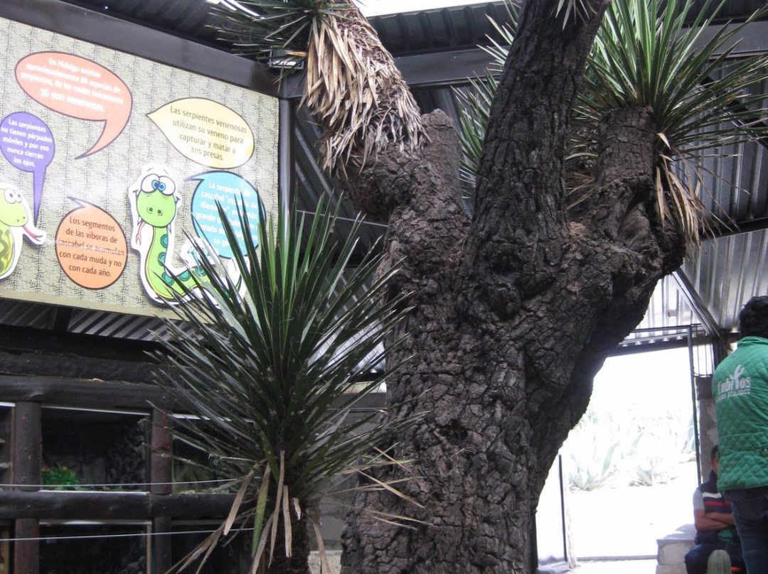 Parque Ecologico Cubitos景点图片