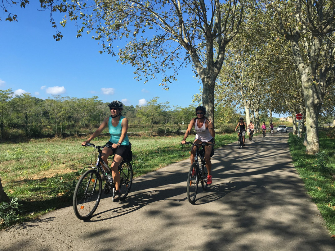Happy Bikes Girona景点图片