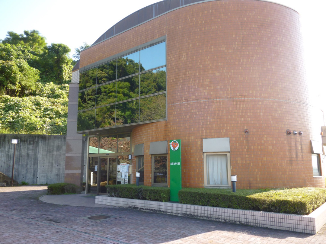 The Ancient Tomb and Persimmon Museum-本巢市必去景点