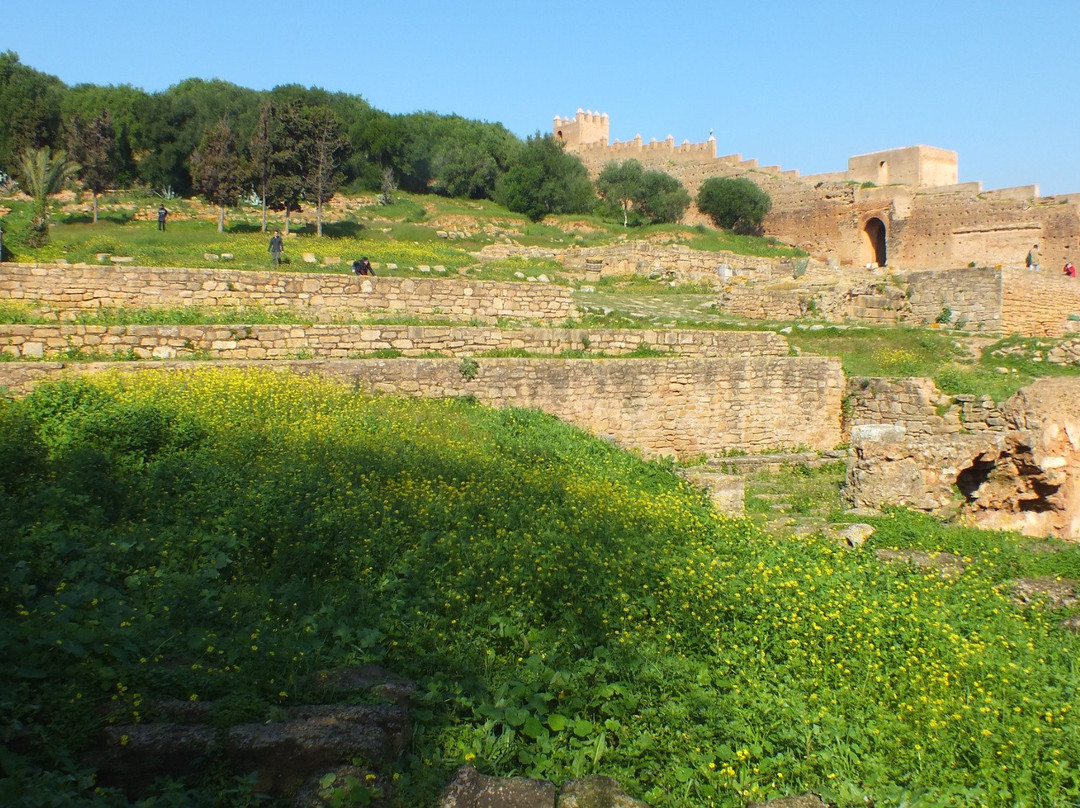 Sidi Boukhalkhal旅游景点-Exotic Gardens of Bouknadel
