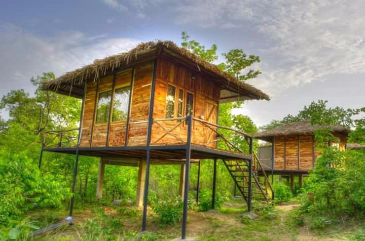 Tribal Camp