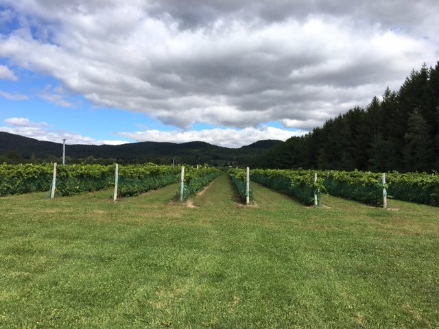 Domaine De Lavoie-Rougemont必去景点