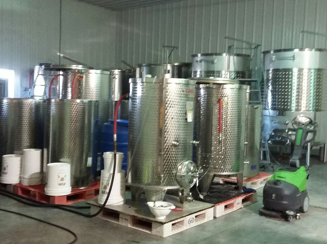 Cold  Country Vines & Wines-Kewaunee必去景点