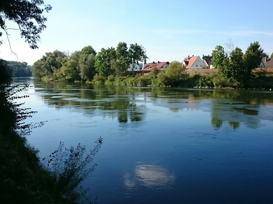 Donaukai景点图片