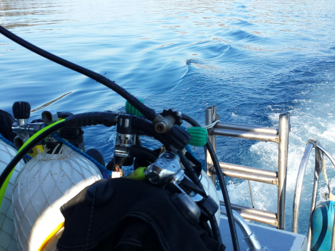 Submaldive Elba Diving-Porto Azzurro必去景点