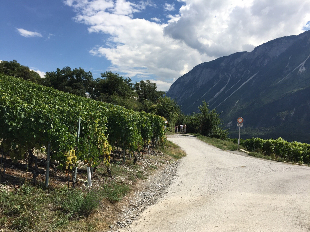 Vineyards Trail-谢尔必去景点