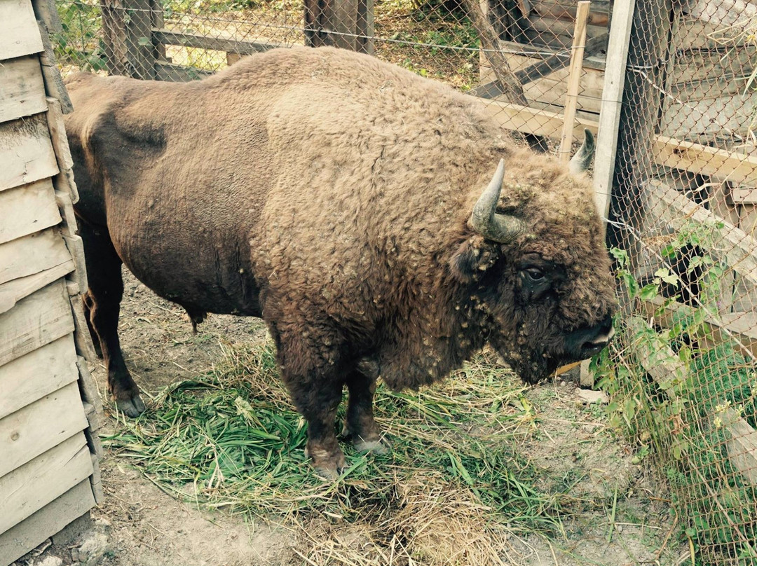 Padurea Domneasca-Glodeni必去景点