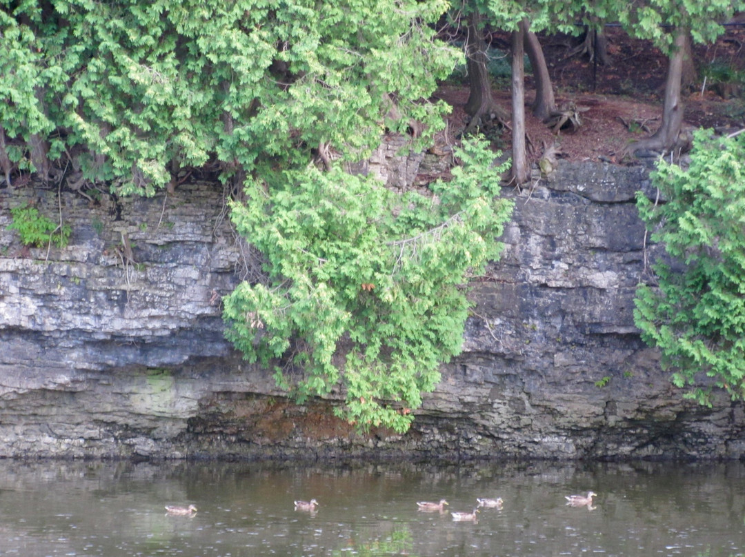 Bissell Park-伊劳拉必去景点