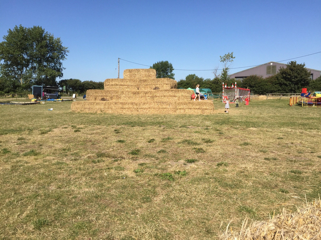 Mini Moos Maize Maze and Funyard景点图片